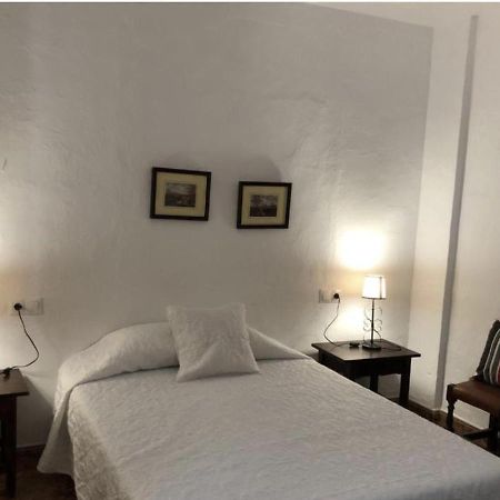 托洛克斯Casa Pepe La Rosa公寓 外观 照片